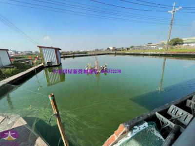 屏東新園24米縣道旁鰻魚池視意圖